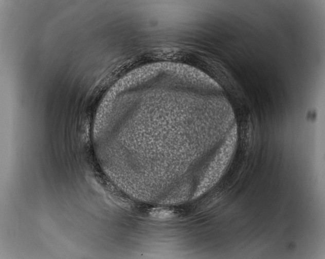 X0000115370602200911241242
