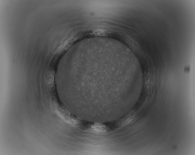 X0000115370603200911241242