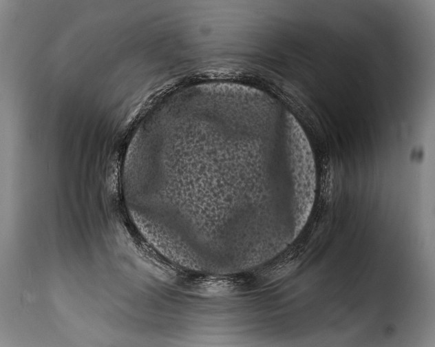 X0000115370604200911241242
