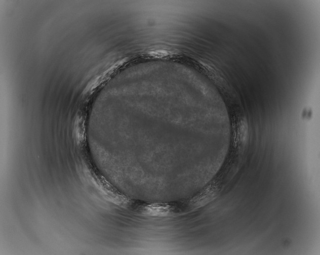 X0000115370606200911241242