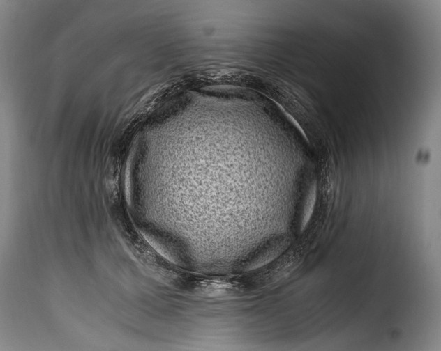 X0000115370607200911241242