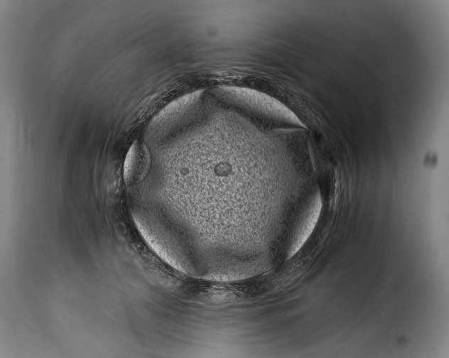 X0000115370608200911241242