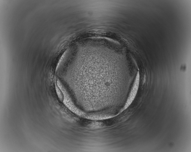 X0000115370609200911241242