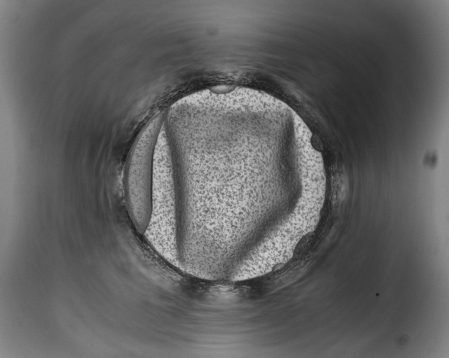 X0000115370613200911241242