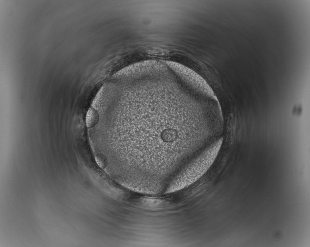X0000115370614200911241242