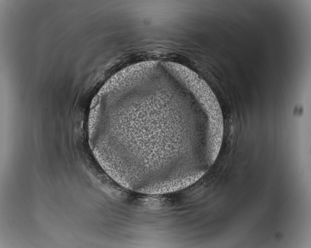 X0000115370615200911241242