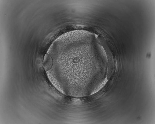 X0000115370616200911241242
