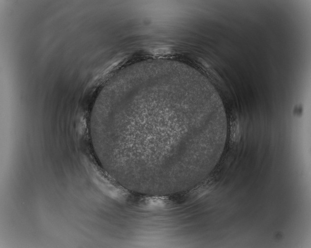 X0000115370618200911241242