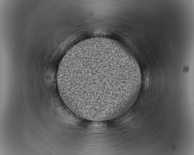 X0000115370619200911241242