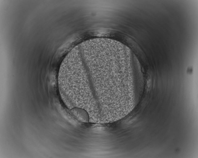 X0000115370620200911241242
