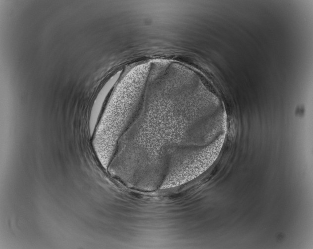X0000115370621200911241242