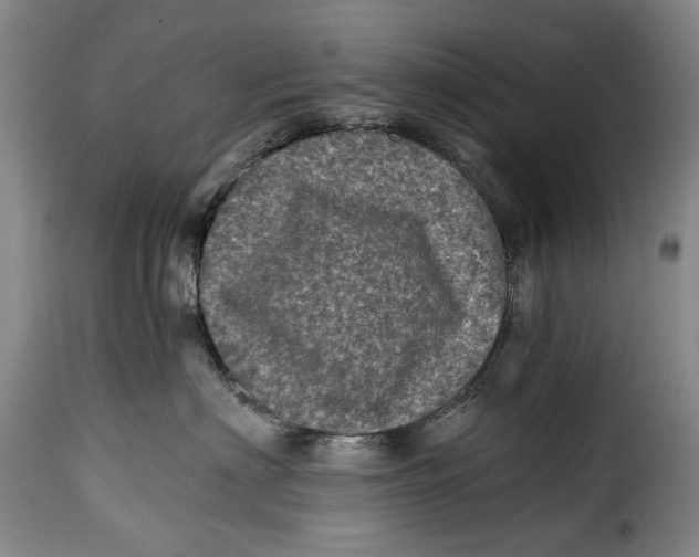 X0000115370622200911241242