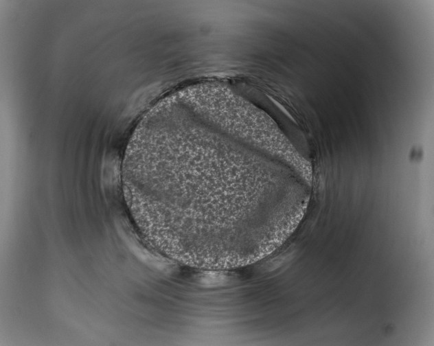 X0000115370623200911241242