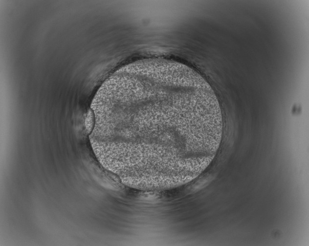 X0000115370624200911241242