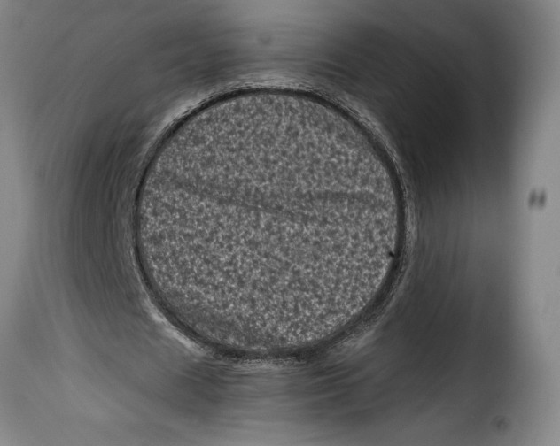 X0000115370625200911241241