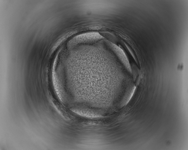X0000115370626200911241241
