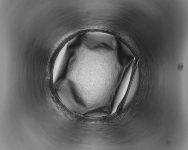 X0000115370628200911241241