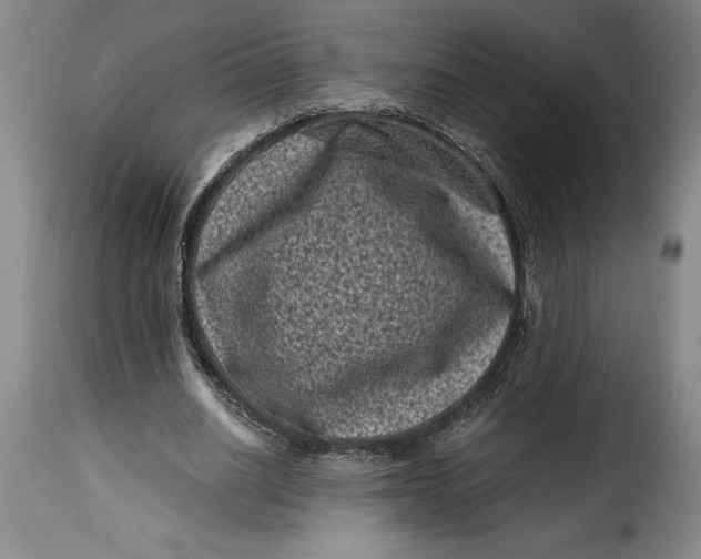 X0000115370630200911241241