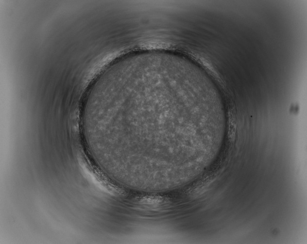 X0000115370631200911241241
