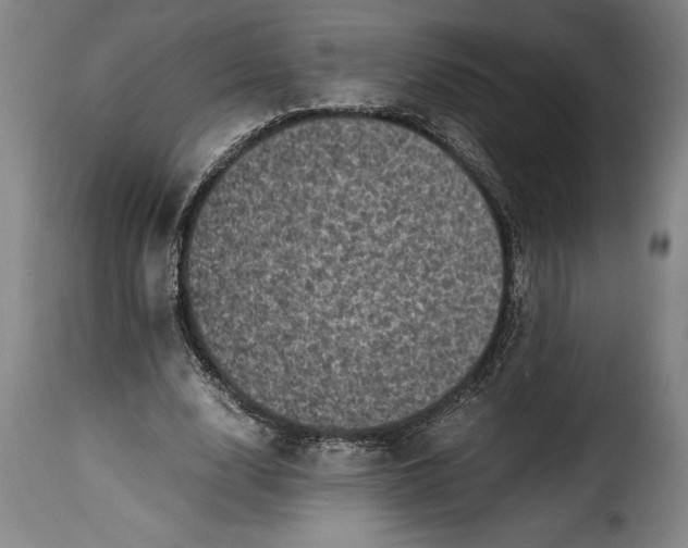 X0000115370632200911241241