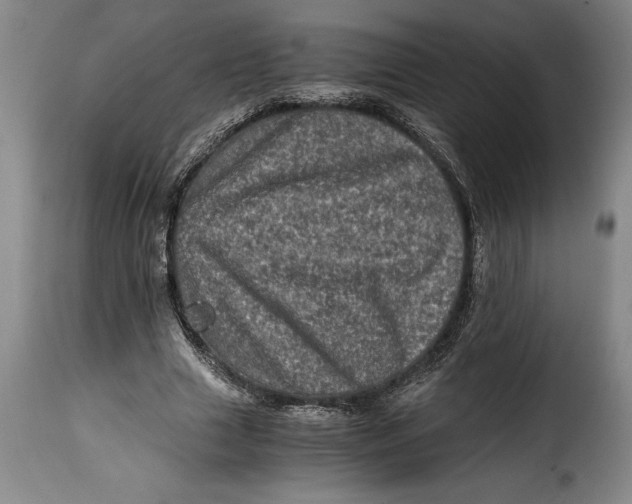 X0000115370633200911241241