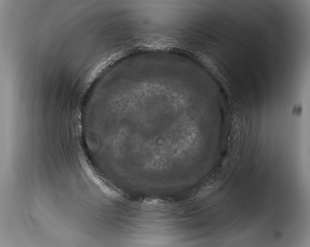 X0000115370634200911241241