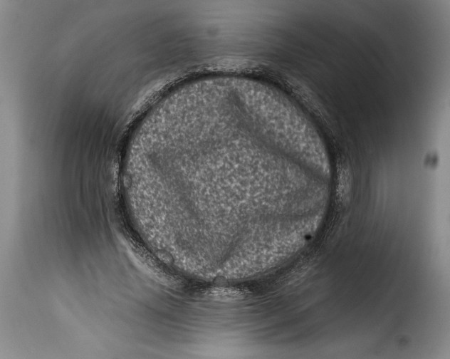 X0000115370636200911241241