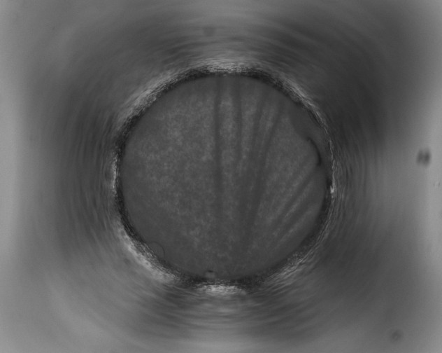 X0000115370637200911241241
