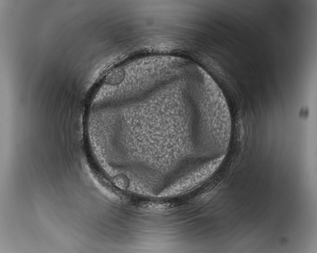 X0000115370638200911241241