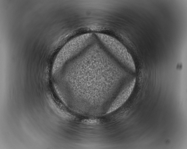 X0000115370639200911241241