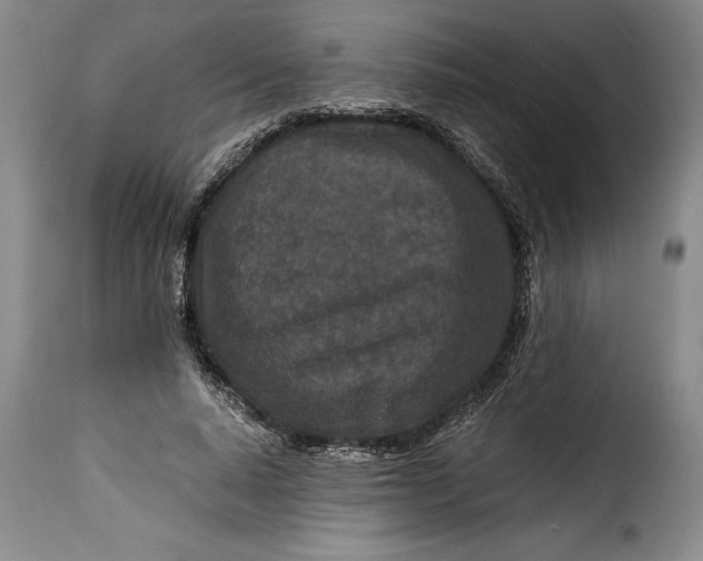 X0000115370640200911241241