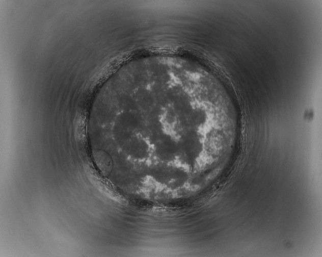 X0000115370641200911241241