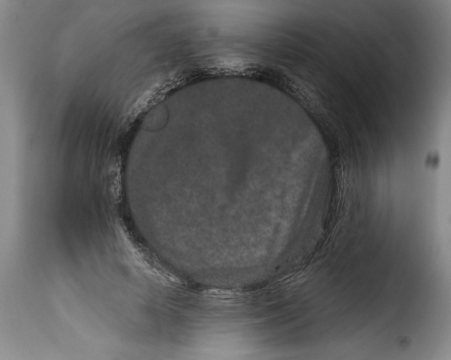 X0000115370642200911241241