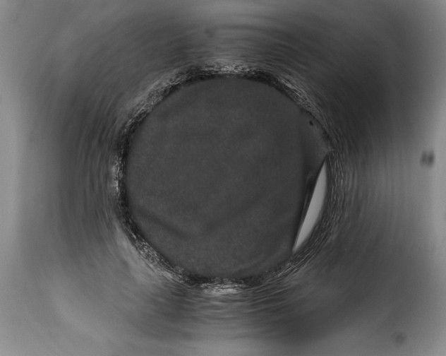X0000115370643200911241241
