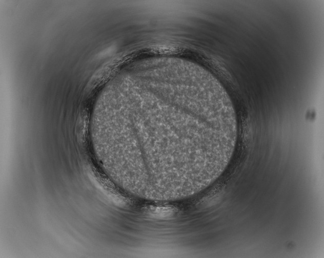 X0000115370645200911241241
