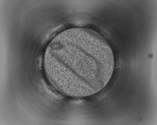 X0000115370646200911241241