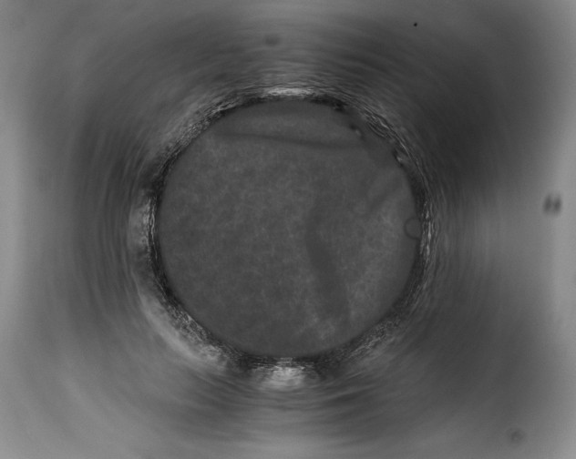 X0000115370647200911241241