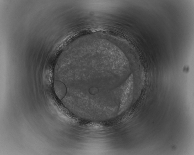 X0000115370648200911241241