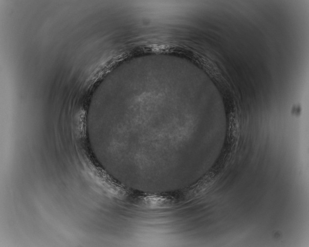 X0000115370650200911241241