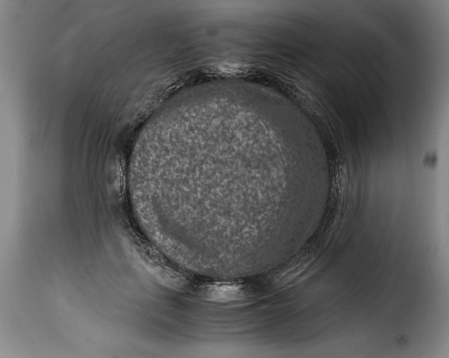 X0000115370651200911241241