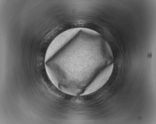 X0000115370652200911241241