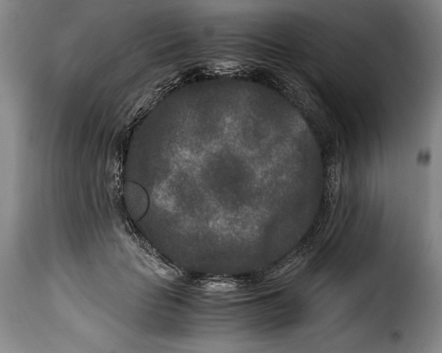 X0000115370653200911241241
