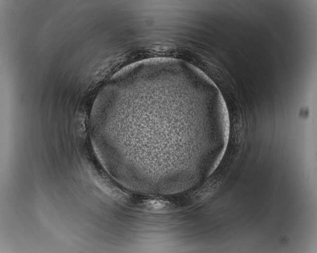 X0000115370654200911241241