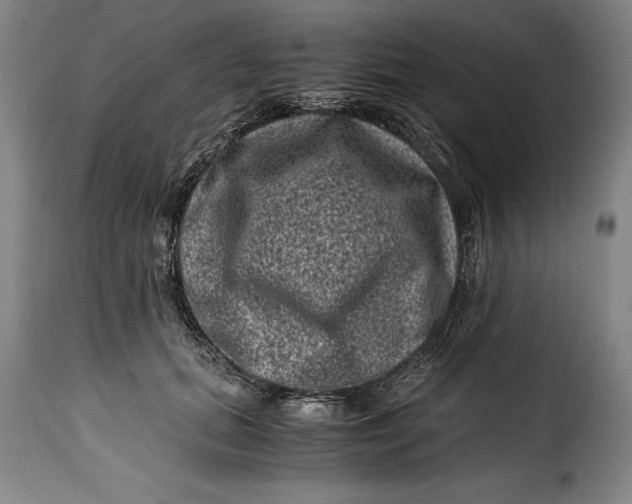 X0000115370655200911241241