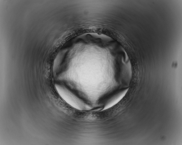 X0000115370656200911241241