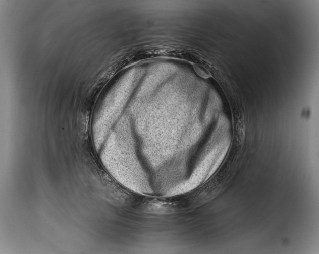 X0000115370657200911241241