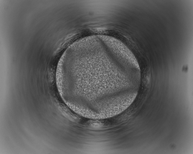 X0000115370658200911241241