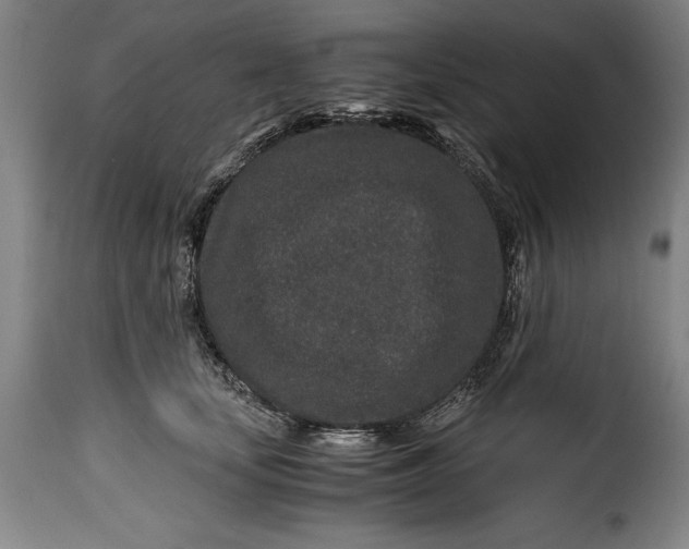 X0000115370659200911241241