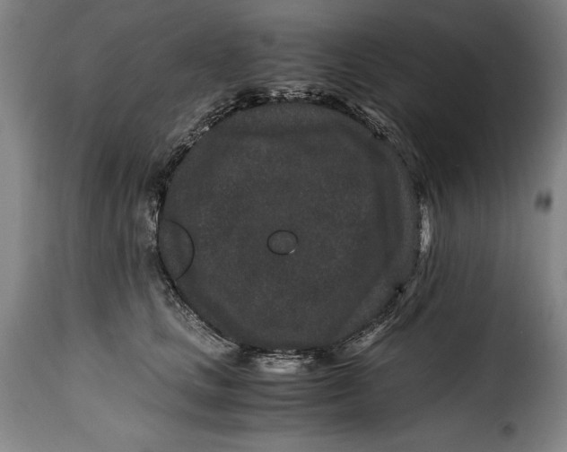 X0000115370661200911241241