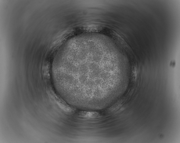 X0000115370663200911241241